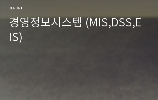 경영정보시스템 (MIS,DSS,EIS)