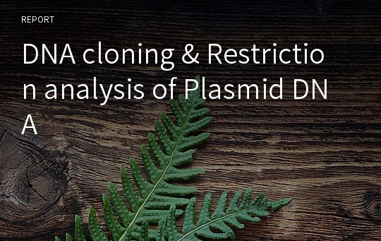DNA cloning &amp; Restriction analysis of Plasmid DNA