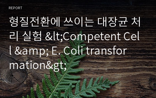 형질전환에 쓰이는 대장균 처리 실험 &lt;Competent Cell &amp; E. Coli transformation&gt;