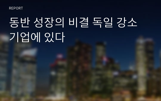 동반 성장의 비결 독일 강소기업에 있다