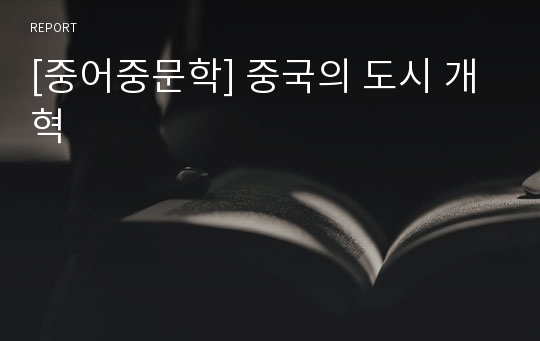 [중어중문학] 중국의 도시 개혁