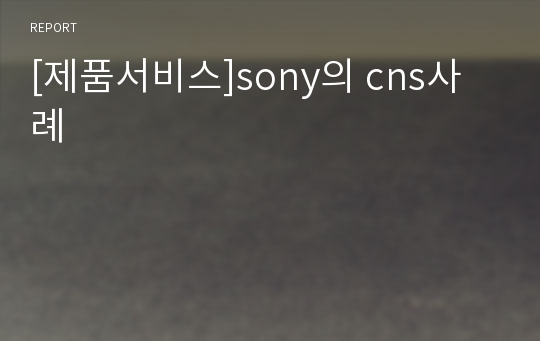 [제품서비스]sony의 cns사례