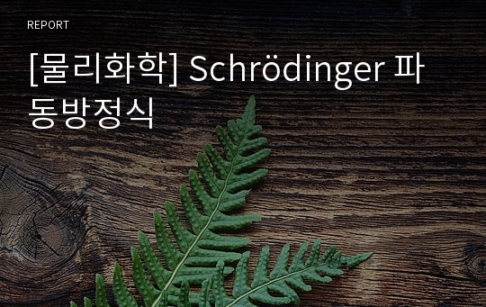 [물리화학] Schrödinger 파동방정식