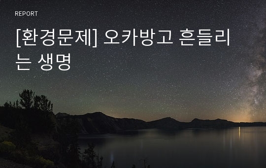 [환경문제] 오카방고 흔들리는 생명