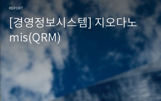 [경영정보시스템] 지오다노 mis(QRM)