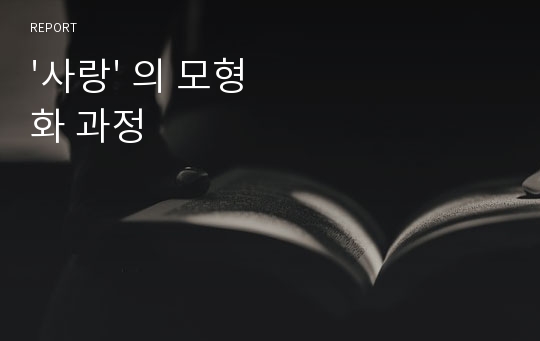 &#039;사랑&#039; 의 모형화 과정