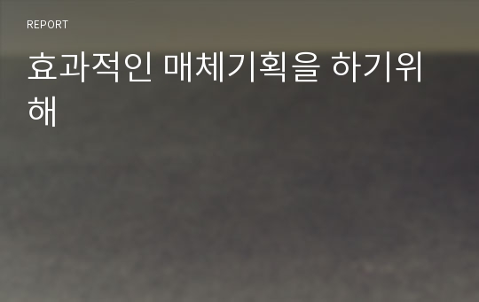 효과적인 매체기획을 하기위해