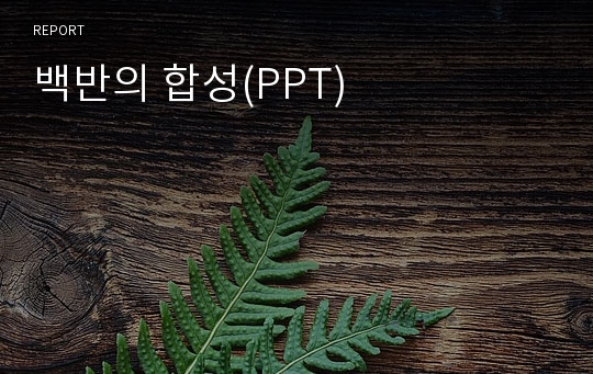 백반의 합성(PPT)