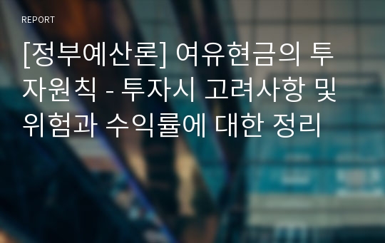 [정부예산론] 여유현금의 투자원칙 - 투자시 고려사항 및 위험과 수익률에 대한 정리