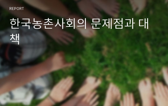 한국농촌사회의 문제점과 대책