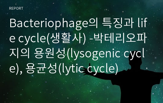Bacteriophage의 특징과 life cycle(생활사) -박테리오파지의 용원성(lysogenic cycle), 용균성(lytic cycle)
