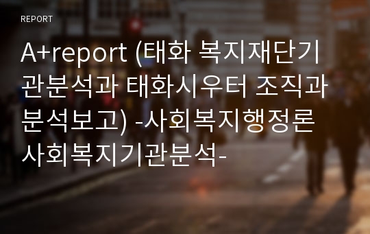 A+report (태화 복지재단기관분석과 태화시우터 조직과 분석보고) -사회복지행정론  사회복지기관분석-