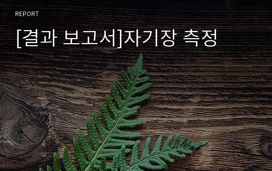 [결과 보고서]자기장 측정