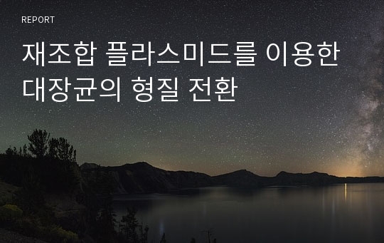 재조합 플라스미드를 이용한 대장균의 형질 전환