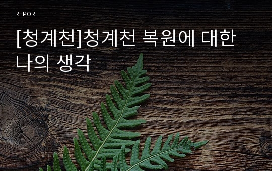 [청계천]청계천 복원에 대한 나의 생각