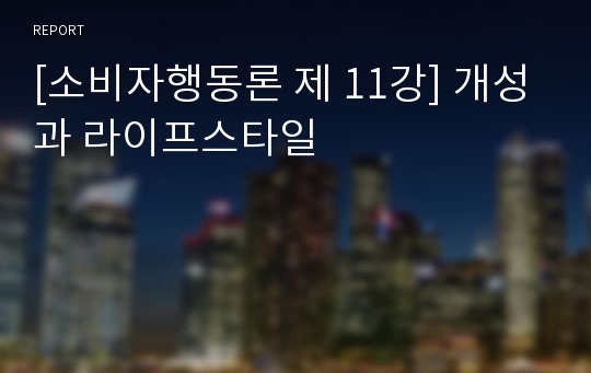 [소비자행동론 제 11강] 개성과 라이프스타일