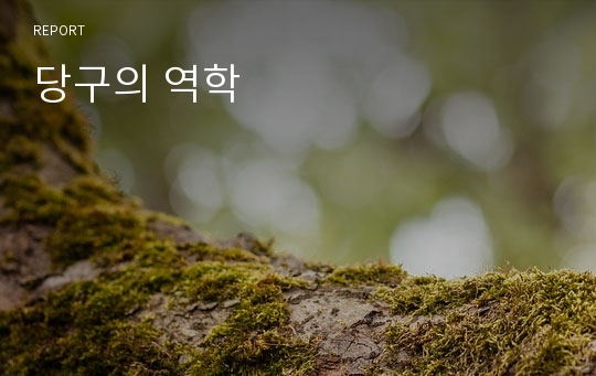 당구의 역학