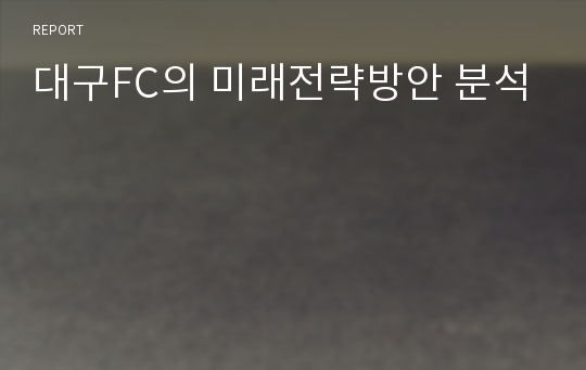 대구FC의 미래전략방안 분석