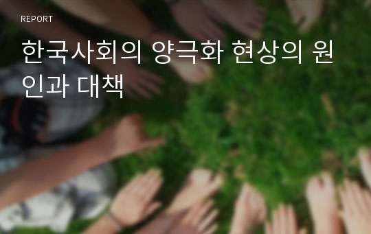 한국사회의 양극화 현상의 원인과 대책