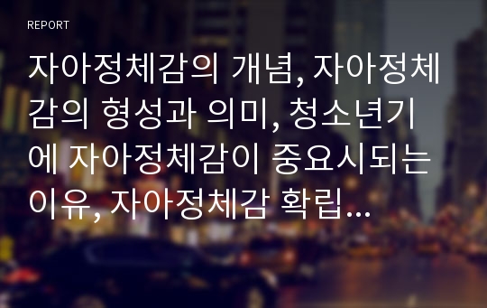 자아정체감의 개념, 자아정체감의 형성과 의미, 청소년기에 자아정체감이 중요시되는 이유, 자아정체감 확립의 중요성