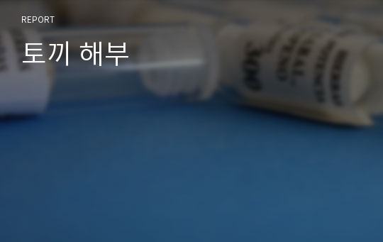 토끼 해부