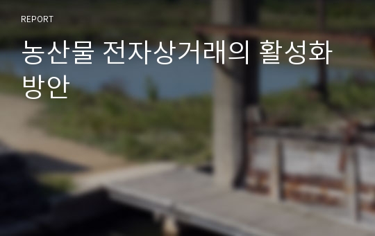 농산물 전자상거래의 활성화 방안