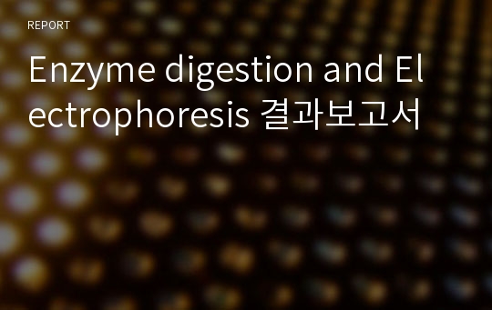 Enzyme digestion and Electrophoresis 결과보고서