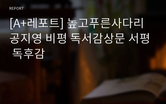 [A+레포트] 높고푸른사다리 공지영 비평 독서감상문 서평 독후감