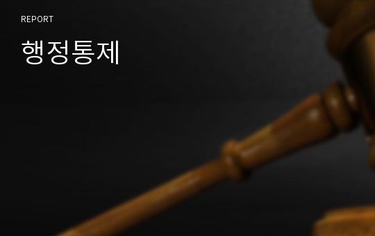 행정통제