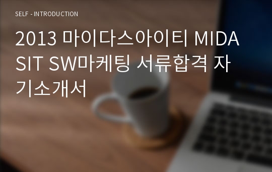 2013 마이다스아이티 MIDASIT SW마케팅 서류합격 자기소개서