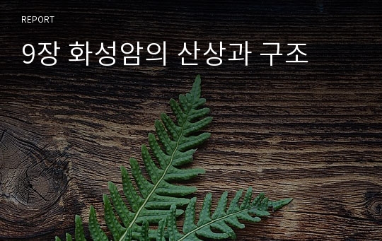 9장 화성암의 산상과 구조