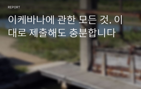 이케바나에 관한 모든 것. 이대로 제출해도 충분합니다