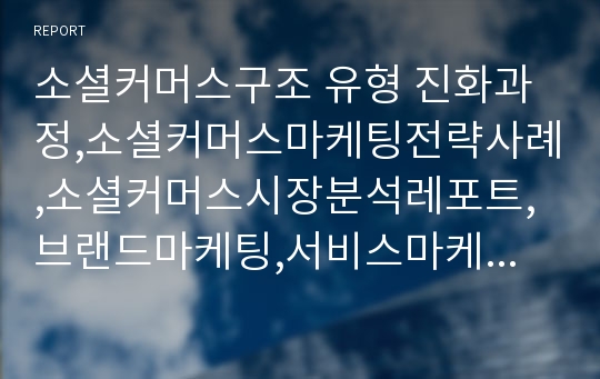 소셜커머스구조 유형 진화과정,소셜커머스마케팅전략사례,소셜커머스시장분석레포트,브랜드마케팅,서비스마케팅,글로벌경영,사례분석,swot,stp,4p