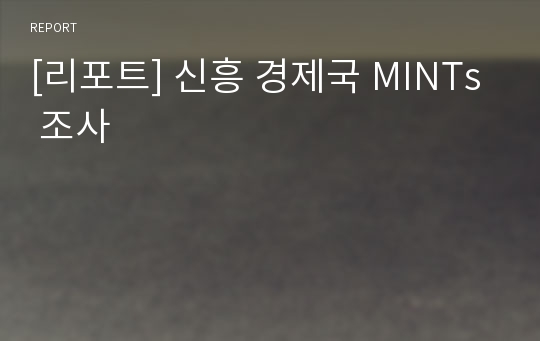 [리포트] 신흥 경제국 MINTs 조사