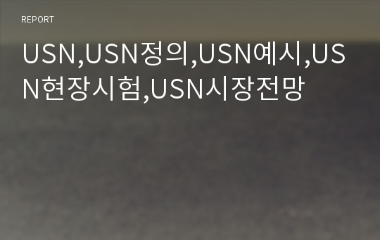 USN,USN정의,USN예시,USN현장시험,USN시장전망