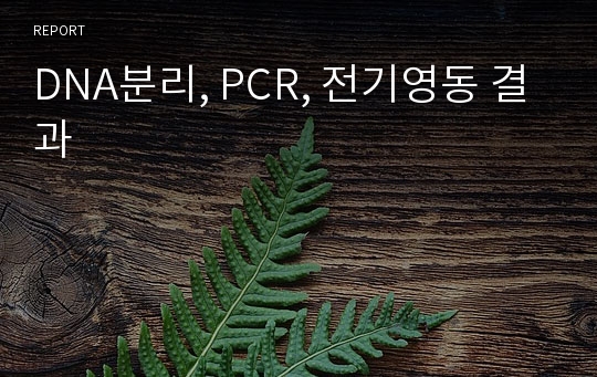 DNA분리, PCR, 전기영동 결과