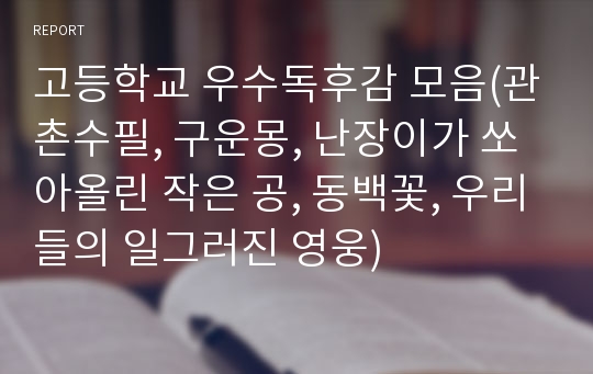 고등학교 우수독후감 모음(관촌수필, 구운몽, 난장이가 쏘아올린 작은 공, 동백꽃, 우리들의 일그러진 영웅)