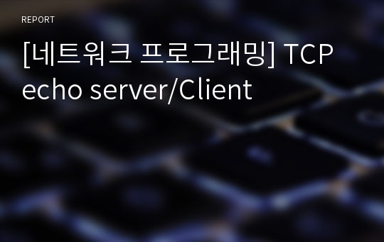 [네트워크 프로그래밍] TCP echo server/Client