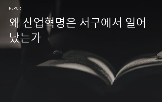 왜 산업혁명은 서구에서 일어났는가