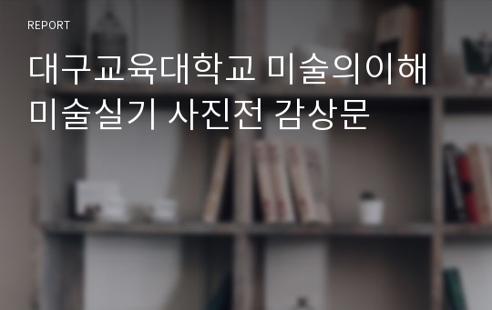 대구교육대학교 미술의이해 미술실기 사진전 감상문