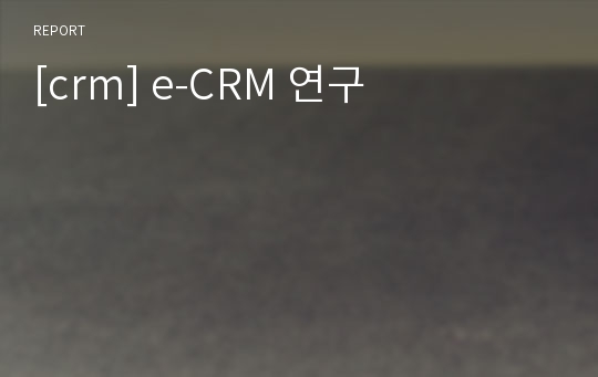 [crm] e-CRM 연구
