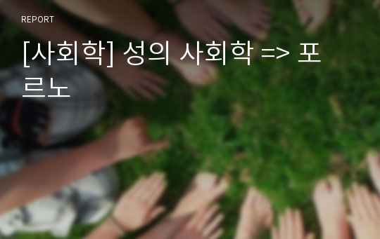 [사회학] 성의 사회학 =&gt; 포르노