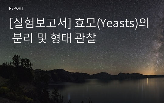 [실험보고서] 효모(Yeasts)의 분리 및 형태 관찰