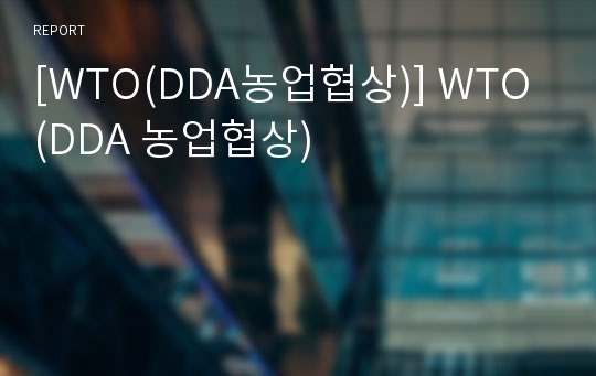 [WTO(DDA농업협상)] WTO(DDA 농업협상)