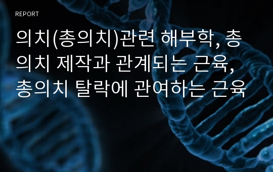 의치(총의치)관련 해부학, 총의치 제작과 관계되는 근육, 총의치 탈락에 관여하는 근육