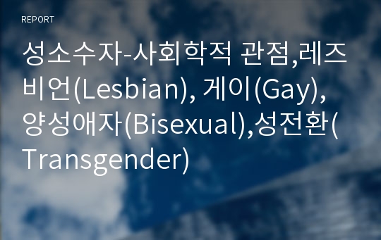 성소수자-사회학적 관점,레즈비언(Lesbian), 게이(Gay), 양성애자(Bisexual),성전환(Transgender)
