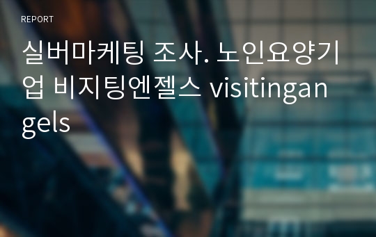 실버마케팅 조사. 노인요양기업 비지팅엔젤스 visitingangels