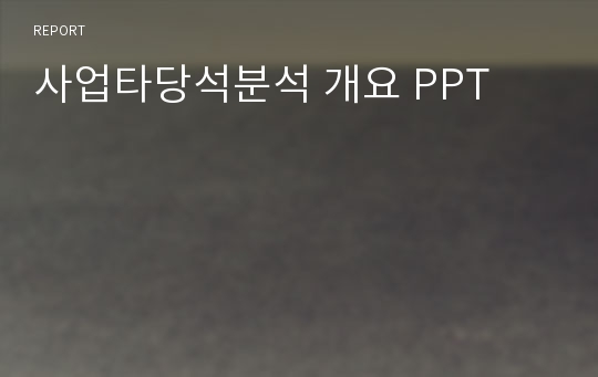 사업타당석분석 개요 PPT