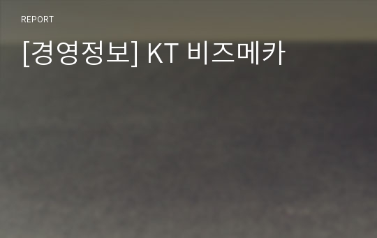 [경영정보] KT 비즈메카