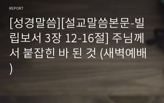 [성경말씀][설교말씀본문-빌립보서 3장 12-16절] 주님께서 붙잡힌 바 된 것 (새벽예배)